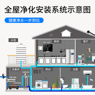全屋大流量去除水垢水堿